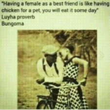 Having a female bestfriend is like having a chiken as a pet, you will eat it some day
